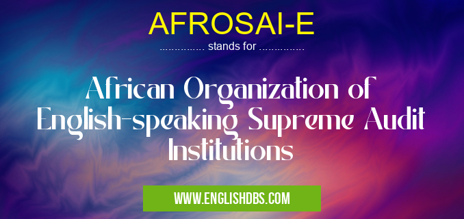 AFROSAI-E means African Organization of English-speaking Supreme Audit Institutions AFROSAI-E