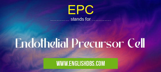 EPC means Endothelial Precursor Cell EPC