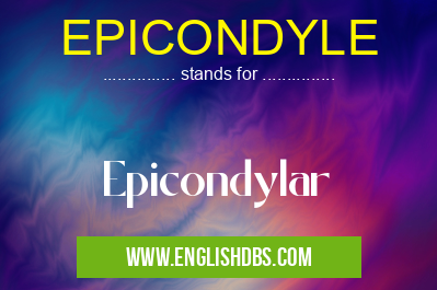 EPICONDYLE means Epicondylar EPICONDYLE
