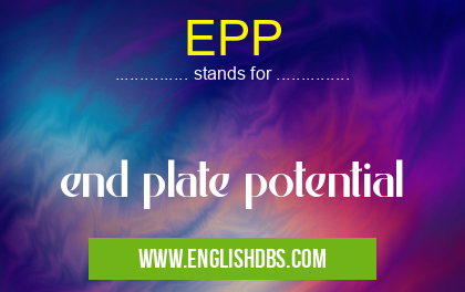 EPP means end plate potential EPP