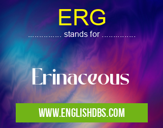 ERG means Erinaceous ERG