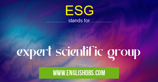ESG means expert scientific group ESG