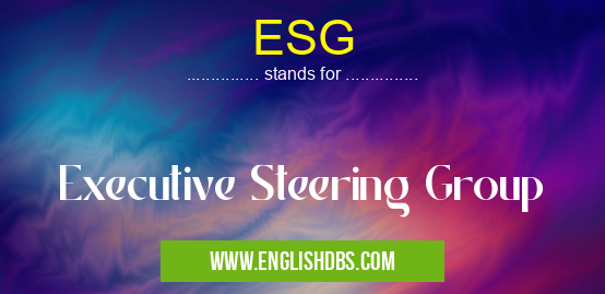 ESG means Executive Steering Group ESG