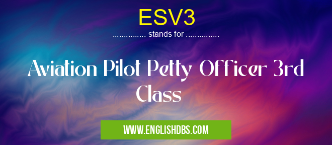 ESV3 means Aviation Pilot Petty Officer 3rd Class ESV3