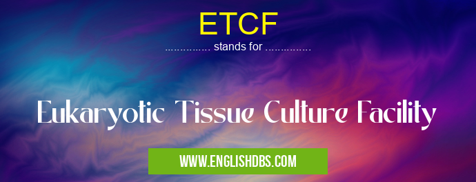 ETCF