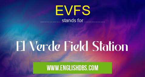 EVFS