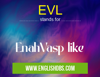 EVL means EnahVasp like EVL