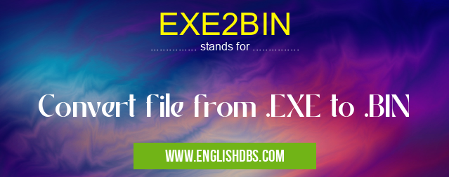 EXE2BIN means Convert file from .EXE to .BIN EXE2BIN