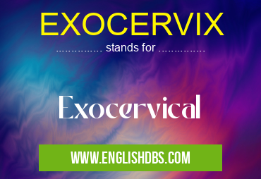 EXOCERVIX means Exocervical EXOCERVIX