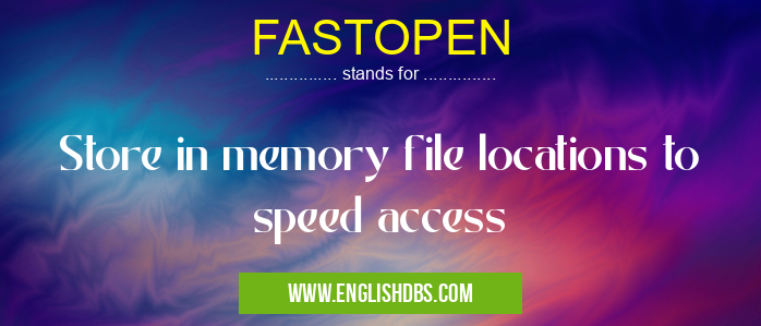 FASTOPEN means Store in memory file locations to speed access FASTOPEN
