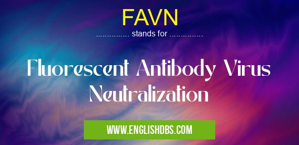 FAVN means Fluorescent Antibody Virus Neutralization FAVN