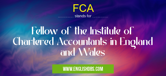 FCA means Fellow of the Institute of Chartered Accountants in England and Wales FCA