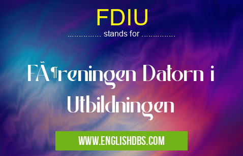 FDIU means Föreningen Datorn i Utbildningen FDIU
