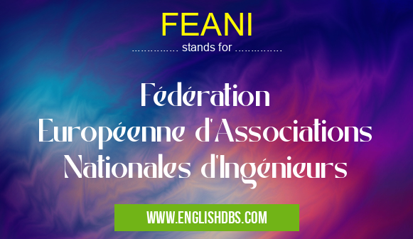 FEANI means Fédération Européenne d'Associations Nationales d'Ingénieurs FEANI