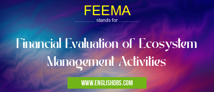 FEEMA means Financial Evaluation of Ecosystem Management Activities FEEMA