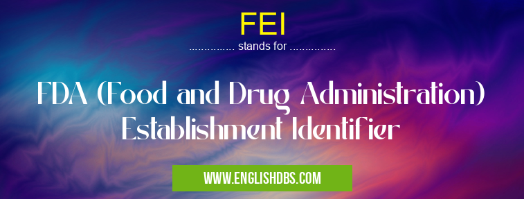 FEI means FDA (Food and Drug Administration) Establishment Identifier FEI