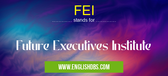 FEI means Future Executives Institute FEI