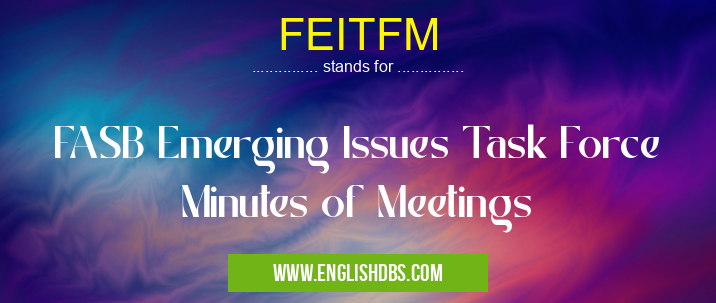 FEITFM means FASB Emerging Issues Task Force Minutes of Meetings FEITFM