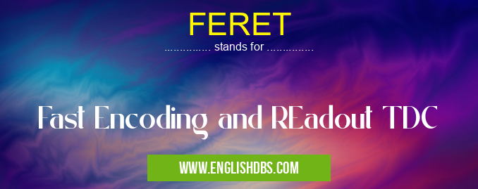FERET means Fast Encoding and REadout TDC FERET