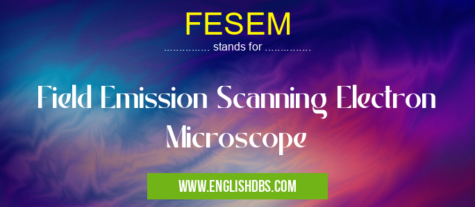 FESEM means Field Emission Scanning Electron Microscope FESEM
