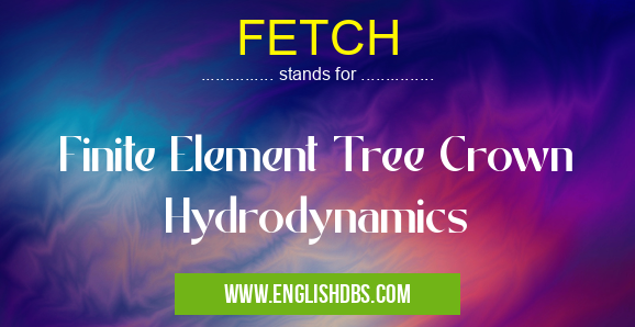 FETCH means Finite Element Tree Crown Hydrodynamics FETCH