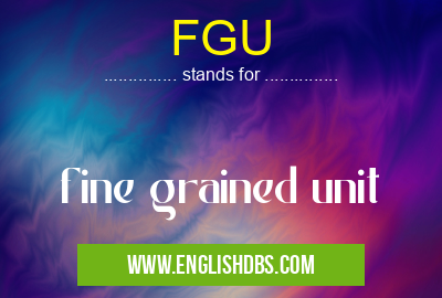 FGU means fine grained unit FGU