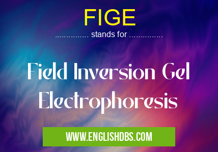 FIGE means Field Inversion Gel Electrophoresis FIGE