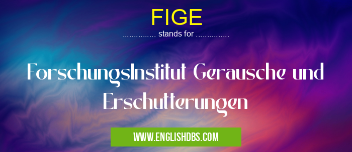 FIGE means ForschungsInstitut Gerausche und Erschutterungen FIGE