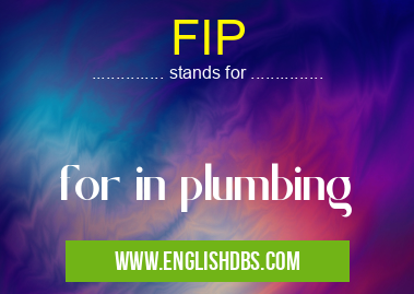 FIP means for in plumbing FIP