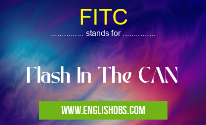 FITC means Flash In The CAN FITC
