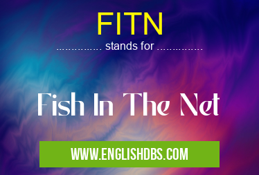 FITN means Fish In The Net FITN
