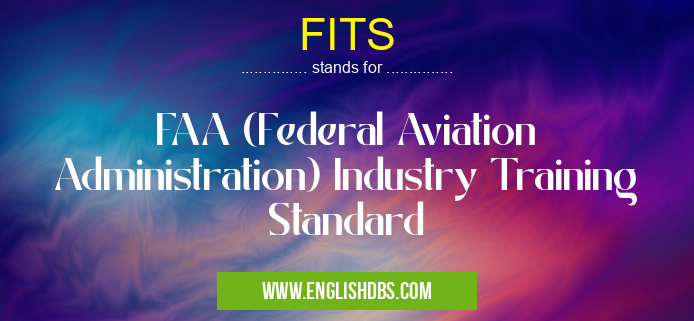 FITS means FAA (Federal Aviation Administration) Industry Training Standard FITS