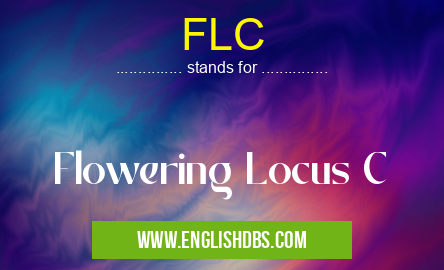 FLC