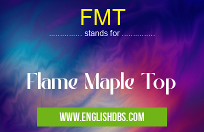 FMT means Flame Maple Top FMT