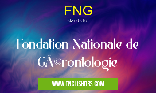 FNG means Fondation Nationale de Gérontologie FNG