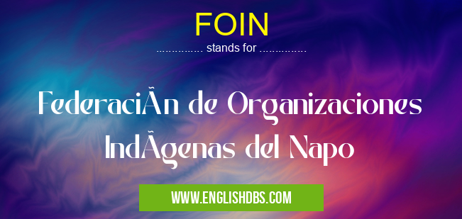 FOIN means Federación de Organizaciones IndÃgenas del Napo FOIN