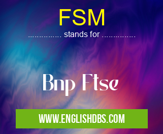 FSM means Bnp Ftse FSM