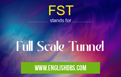 FST means Full Scale Tunnel FST
