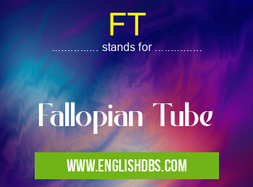 FT means Fallopian Tube FT