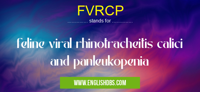 FVRCP means feline viral rhinotracheitis calici and panleukopenia FVRCP