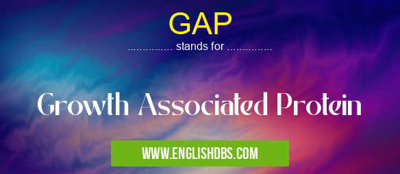 GAP means Growth Associated Protein GAP