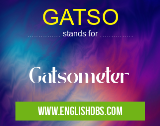 GATSO means Gatsometer GATSO