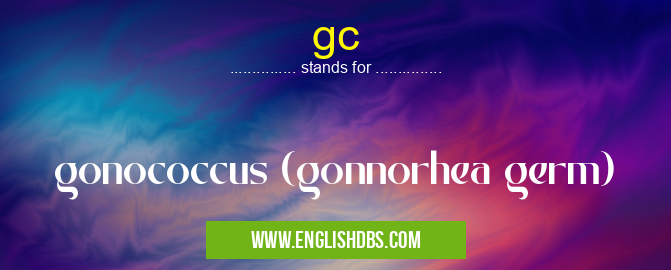gc means gonococcus (gonnorhea germ) gc