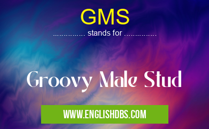 GMS means Groovy Male Stud GMS
