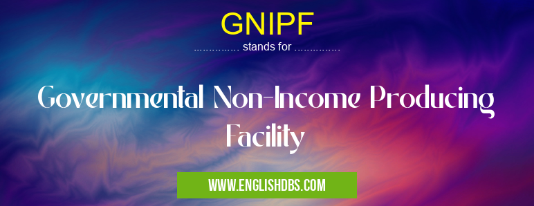 GNIPF means Governmental Non-Income Producing Facility GNIPF