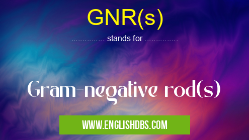 GNR(s) means Gram-negative rod(s) GNR(s)