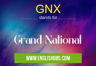 GNX means Grand National GNX