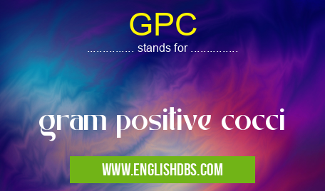 GPC means gram positive cocci GPC