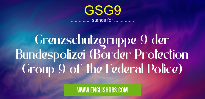 GSG9 means Grenzschutzgruppe 9 der Bundespolizei (Border Protection Group 9 of the Federal Police) GSG9