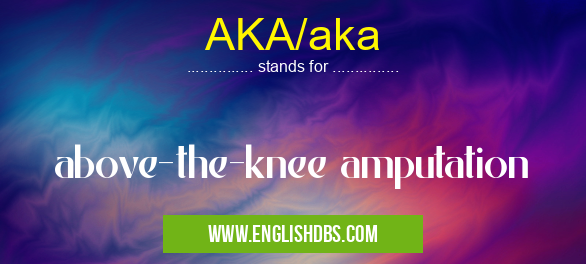 AKA/aka means above-the-knee amputation AKA/aka